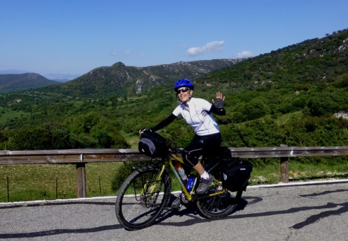 Elsa waving to the crowd